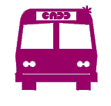 CADD_BUSTOURSfuscia CADD_BUSTOURSfuscia