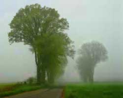 ghg_june ghg_june