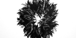 Untitled (hair donut)